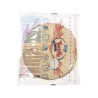 Tortillas de blé 25 cm - 18 x 63.5 gr - DIJO