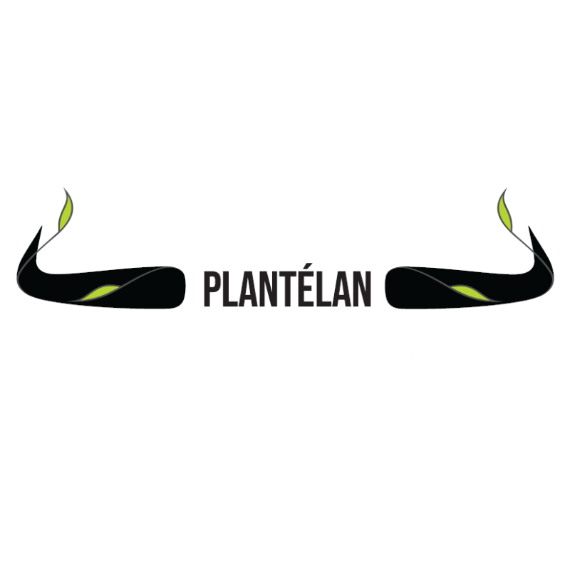 Plantelan