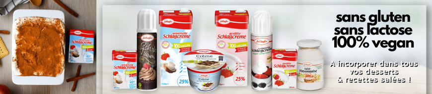 Schlagfix banner Schlagfix banner