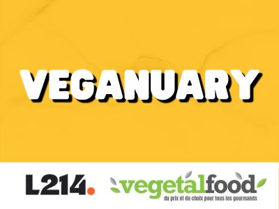 Le Veganuary : je tente une alimentation vegan pendant tout le mois de Janvier !